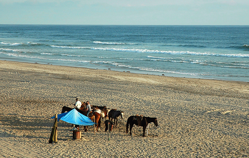 Horseback Riding on a California Beach