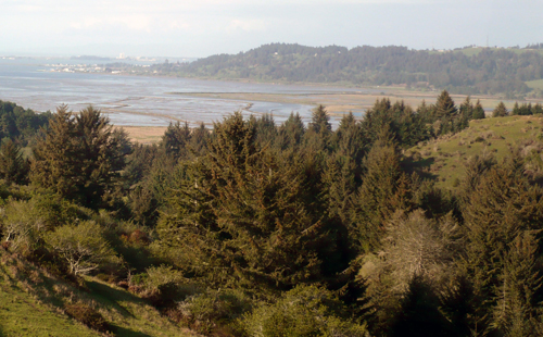 Humboldt Bay Viewed from Table Bluff Clounty Park